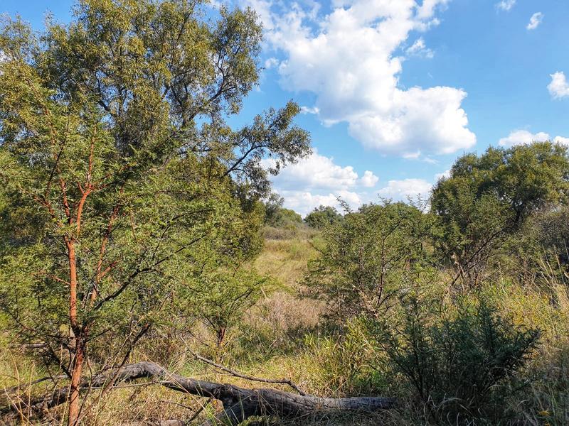 5 Bedroom Property for Sale in Swartruggens North West